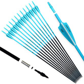 Pointdo carbon arrow with fluorescent shaft aiding quick target sighting during practice