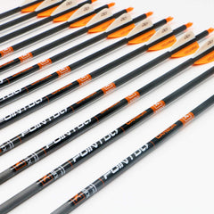 Pointdo XERO target-practice setup highlighting durable carbon shaft for consistent shots