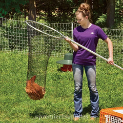 Lightweight teardrop mesh design for safe birds