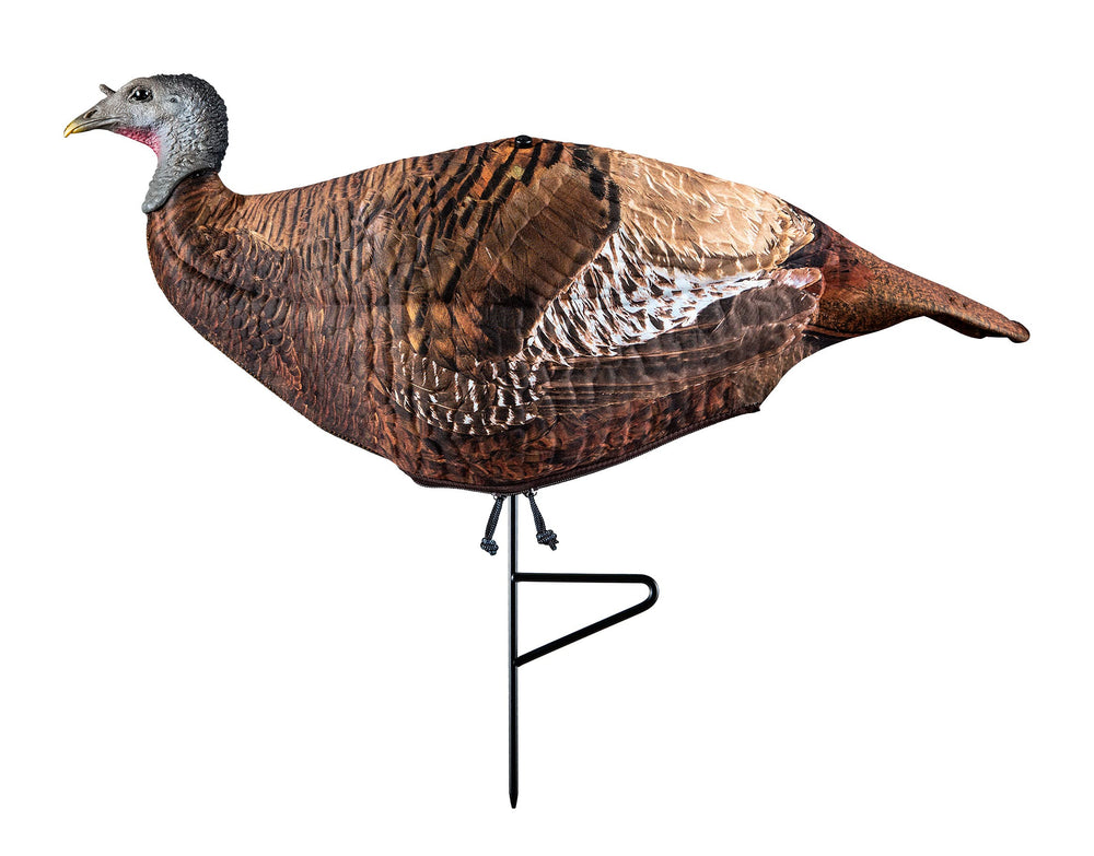 PRIMOS Photoform Leading Hen decoy on 3D foam for ultra-realistic turkey intrigue.