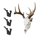 Prized Possessions European mount skull hanger front view for secure trophy display.