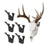 Prized Possessions European mount skull hanger with a low profile for a clean wall display.