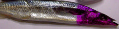 Pro-Cure LD-PPL Col Blast Passion Purple in brine for vivid color uptake.