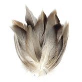 Quintathletic spotted duck feathers pack close-up for lifelike wing and tail detail.