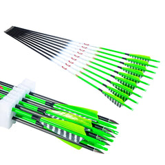 QunYing carbon arrows 31-inch, 12-piece green set for durable practice sessions.