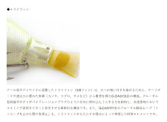 Raid Japan G-Dash stop-and-go hover creates a lifelike pause above the surface.
