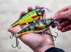 Rapala SSR14-TWZ Twilight Zone in action demonstrates lifelike wobble to entice sea bass