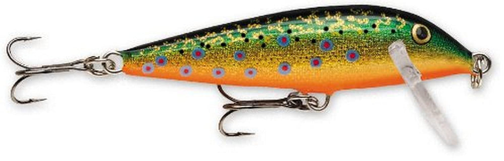 Rapala Countdown 01 Brook Trout lure demonstrating controlled depth for suspended fish.
