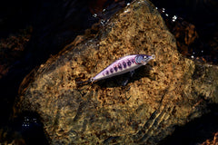 Rapala Countdown Elite 55 Gilded Iwana running-depth: target specific depths with controlled sinking action.