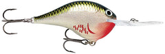 Rapala DT10 Bleeding Olive Shiner front view, delivers long casts and balanced action