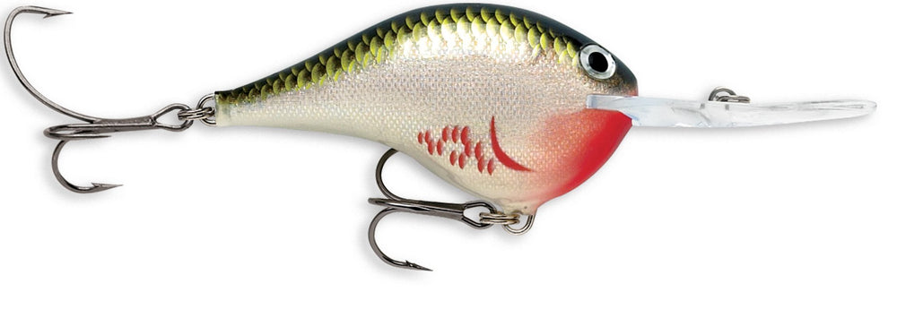 Rapala Dives-To 16 bleeding olive shiner lure ready for deep-water casting.