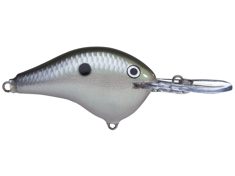 Rapala Dives-To crankbait in Green Gizzard Shad for versatile bass and walleye fishing