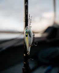 Rapala Shad Rap Elite gilded Helsinki Shad color for high visibility