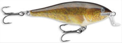 Rapala Shallow Shad Rap 07 lure in shallow water, delivering precise action for walleye on the retrieve