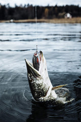 Rapala Super Shadow Rap olive green, side view highlighting tight turning and twitch responsiveness.
