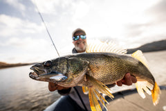 Unboxed Rapala Walleye Boom Box showing top walleye lures from trusted brands