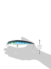 Rapala X-Rap Long Cast 12 Blue Sardine in tackle box, pro-grade lure ready for action.