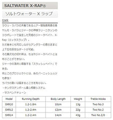 Rapala X-Rap Saltwater 10 Blue Sardine side view showing long casting ability