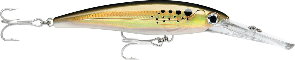 Rapala X-Rap Magnum 40 lure in bunker color ready for deep-water fishing.