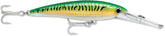 Rapala X-Rap Magnum 40 trolling lure in gold green mackerel color.