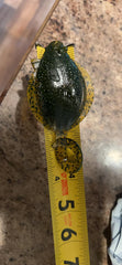 Real Fish Bait Sanddab Snapper Jig 4in ideal for jigging.