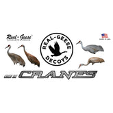 Real-Geese Gen 3 Sandhill Crane decoy front pose A for improved field visibility