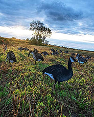 Real-Geese Shadow Series economical silhouette decoys offer value without sacrificing presence