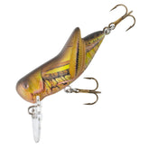 Rebel Bighopper Army Cricket 1.75-inch lure ready for topwater wakes