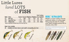 Rebel Hellgrammite bottom-searching sinking lure reaching fish near lake bottoms.