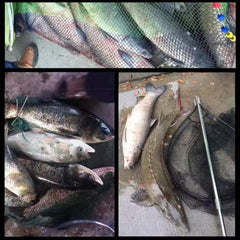 Red Worm Concentrate Liquid night fishing use enhances scent visibility after dusk