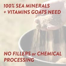 Redmond Goat Mineral in use with goats at trough, natural craving balanced intake.