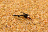 Region Fishing bead-head black micro mayfly nymph, front view, versatile search pattern for wary fish