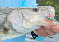 Close-up of Region Fishing Deceiver highlighting green and white red-throat on Duratin Hook 2
