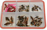 Region Fishing Essential Nymph Assortment with lifelike patterns on Mustad hooks for versatile river fishing.