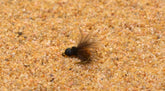 Region Fishing October Caddis Emerger Nymph on Mustad Hook #10 with lifelike movement.