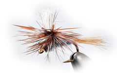 Region Fishing Parachute Adams dry fly pack of 12 for versatile setups