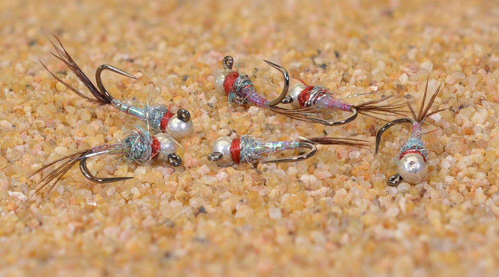 Region Fishing Rainbow Warrior Euro Nymph with tungsten bead for fast presentation in feeding lanes.