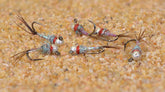 Region Fishing Rainbow Warrior Euro Nymph with tungsten bead for fast presentation in feeding lanes.
