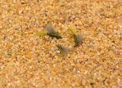 Region Fishing RS2 Olive Emerger Midge Nymph Fly hook detail shows strong Mustad signature hooks
