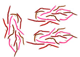 Region Fishing San Juan Worms tri-color size 14, versatile for trout fishing.