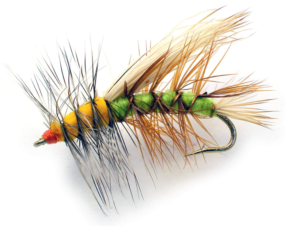 Region Fishing Stimulator dry fly in a green-yellow-terrestrial pattern for trout in fast water.
