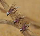 Region Fishing Tungsten Bead Frenchie Jig Fly close-up emphasizing weight for fast submersion