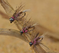 Region Fishing Tungsten Bead Frenchie Jig Fly close-up emphasizing weight for fast submersion