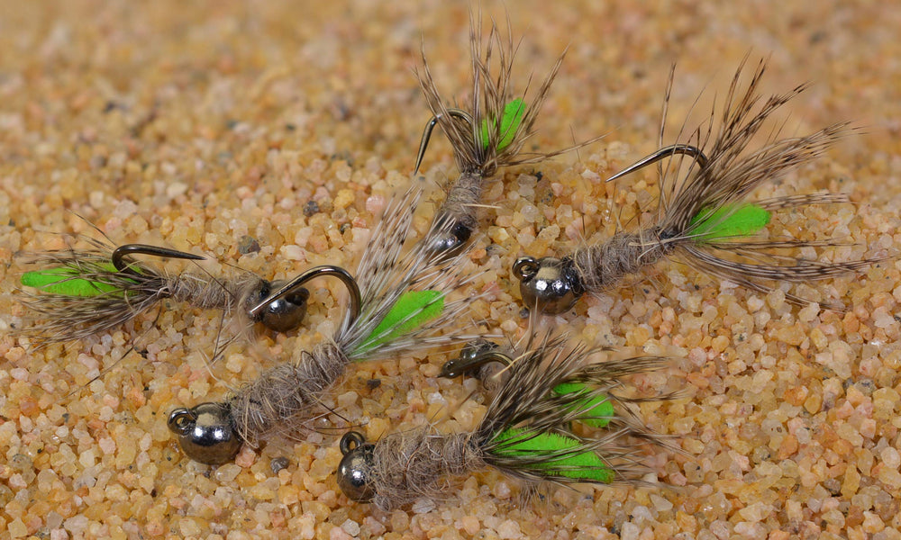 Region Fishing Peeping Caddis Jig Fly with tungsten bead for fast nymphing presentations