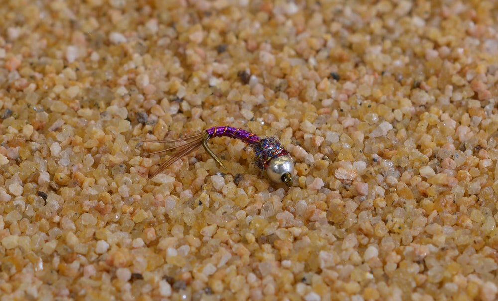 Region Fishing tungsten bead Purple Rainbow Warrior midge nymph sinks fast