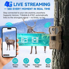 Rexsun AI detection identifies wildlife and alerts for humans or vehicles.