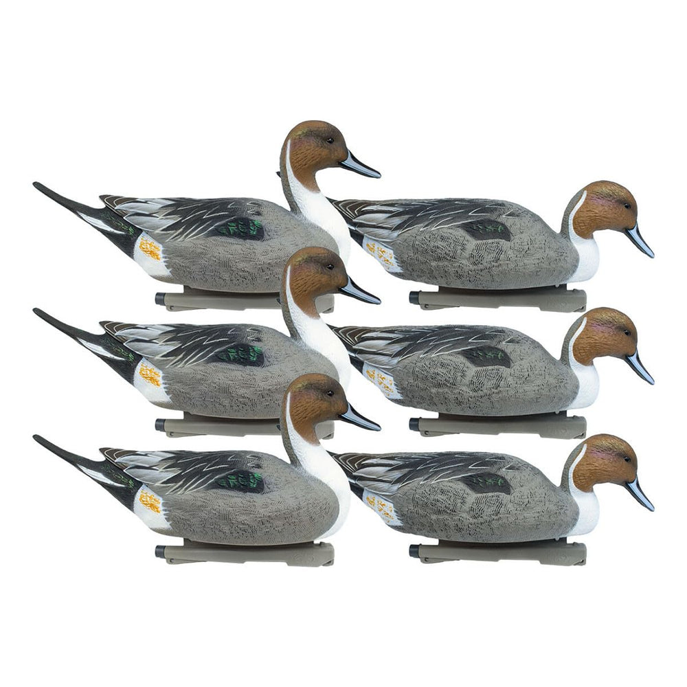 Rig Em Right pintail upright drake decoy with lifelike detail for convincing field spreads.