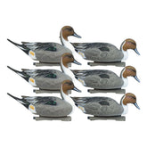 Rig Em Right pintail upright drake decoy with lifelike detail for convincing field spreads.