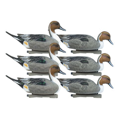 Rig Em Right pintail upright drake decoy with lifelike detail for convincing field spreads.