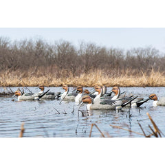 Rig Em Right pintail upright drake decoy with vivid feather detail.